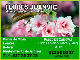 Flores Juanvic 