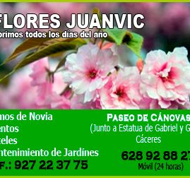 Flores Juanvic 