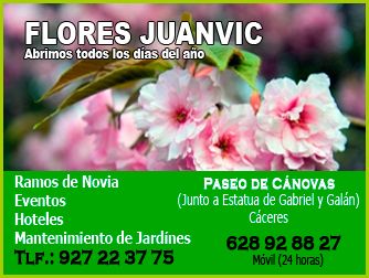 Cartel Flores Juanvic